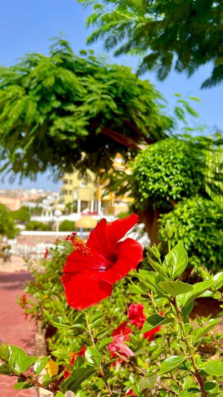 Cozy Two Bed Apartment. Costa Adeje  Buitenkant foto